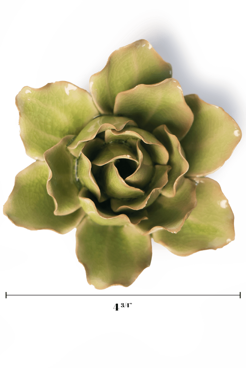 EG25 Peridot Stargazer Lily - Chive UK Wholesale