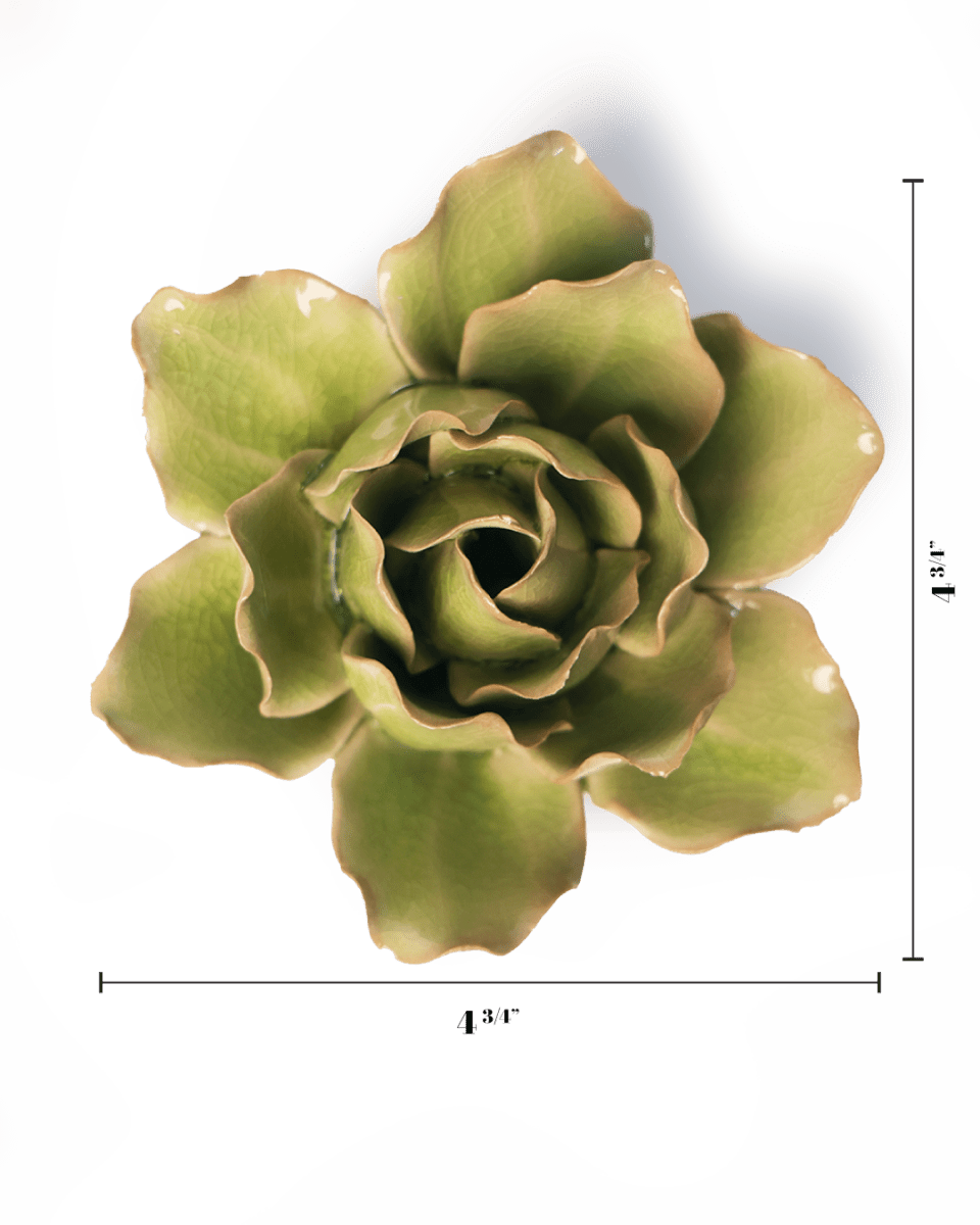 EG25 Peridot Stargazer Lily - Chive UK Wholesale