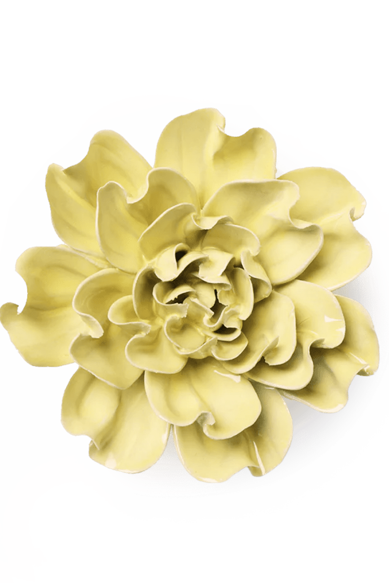 EG26 Lime Yellow Larkspur - Chive UK Wholesale
