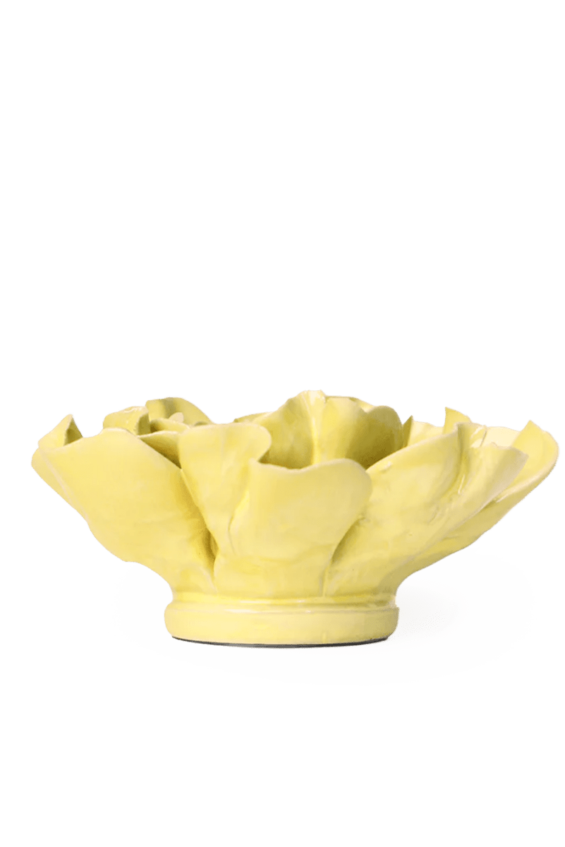EG26 Lime Yellow Larkspur - Chive UK Wholesale