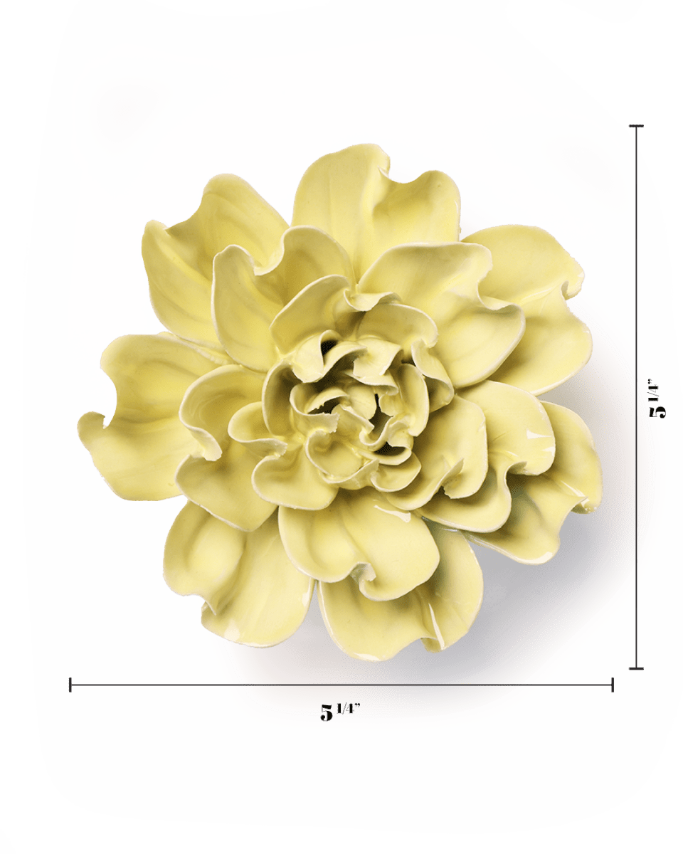 EG26 Lime Yellow Larkspur - Chive UK Wholesale