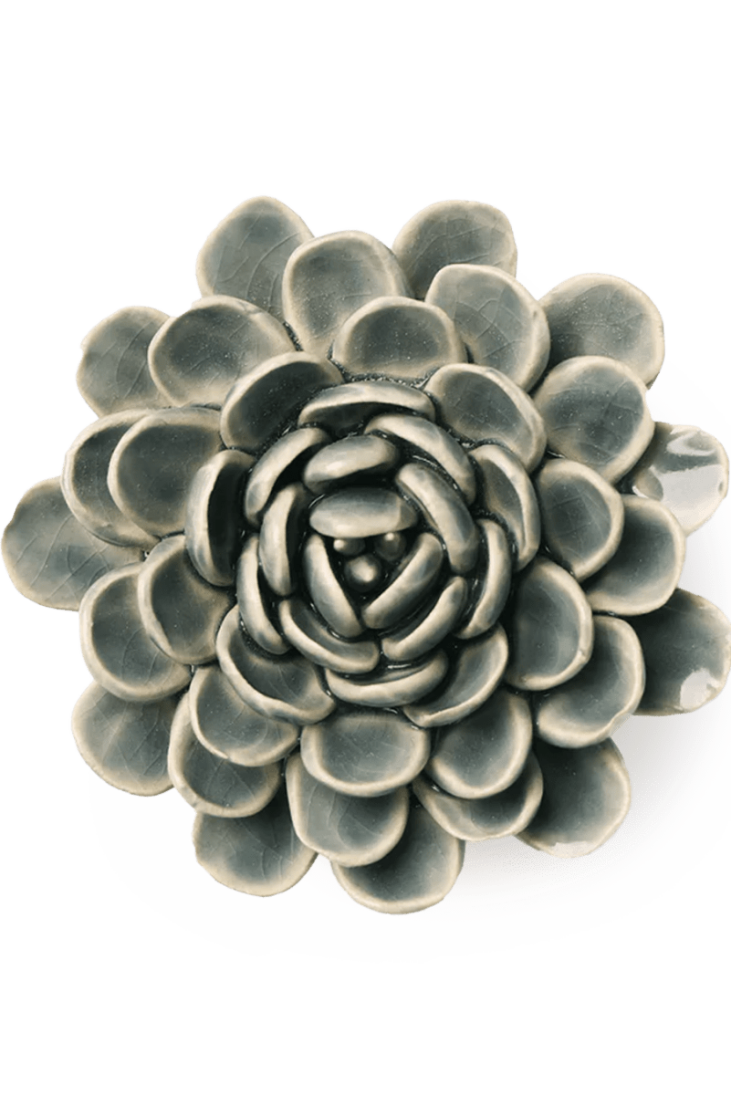 EG29 Pewter Blue Zinderella Zinnia - Chive UK Wholesale
