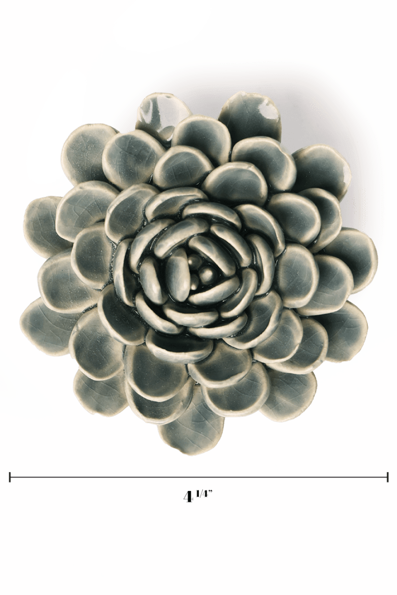 EG29 Pewter Blue Zinderella Zinnia - Chive UK Wholesale