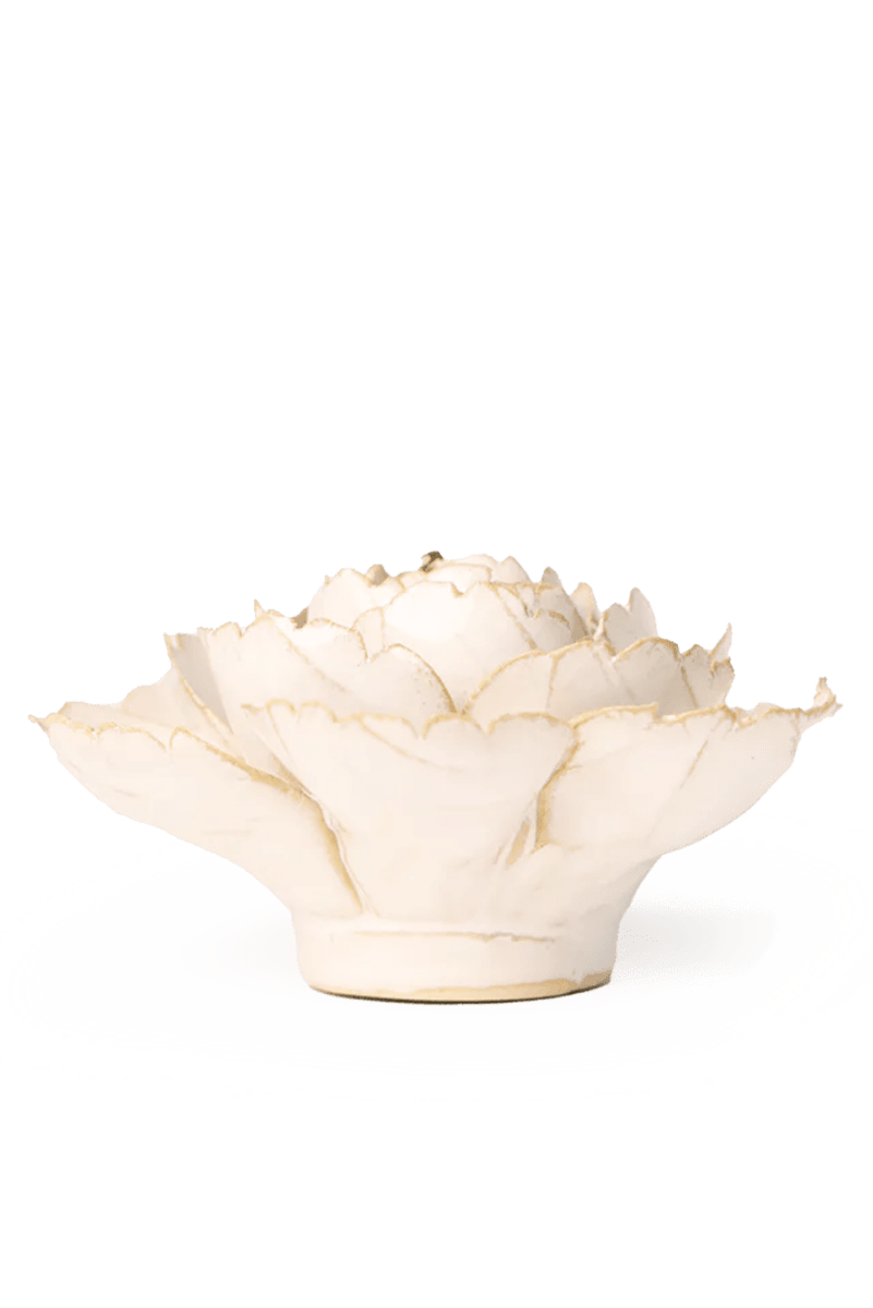 EG31 Ivory English Rose - Chive UK Wholesale