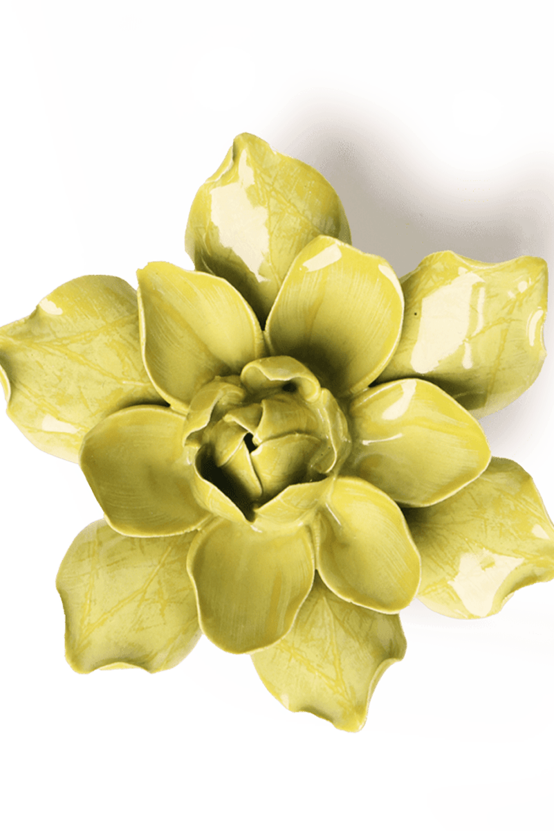 EG32 Chartreuse Columbine - Chive UK Wholesale