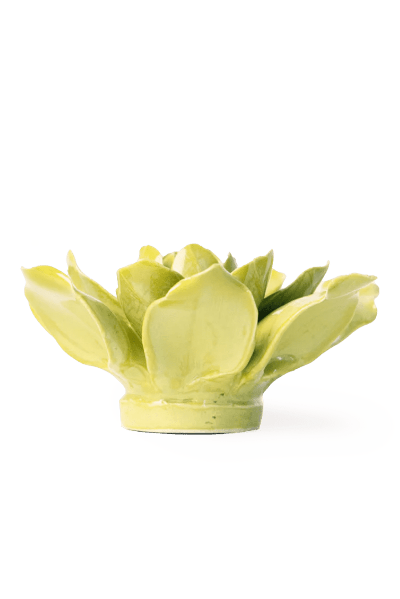 EG32 Chartreuse Columbine - Chive UK Wholesale