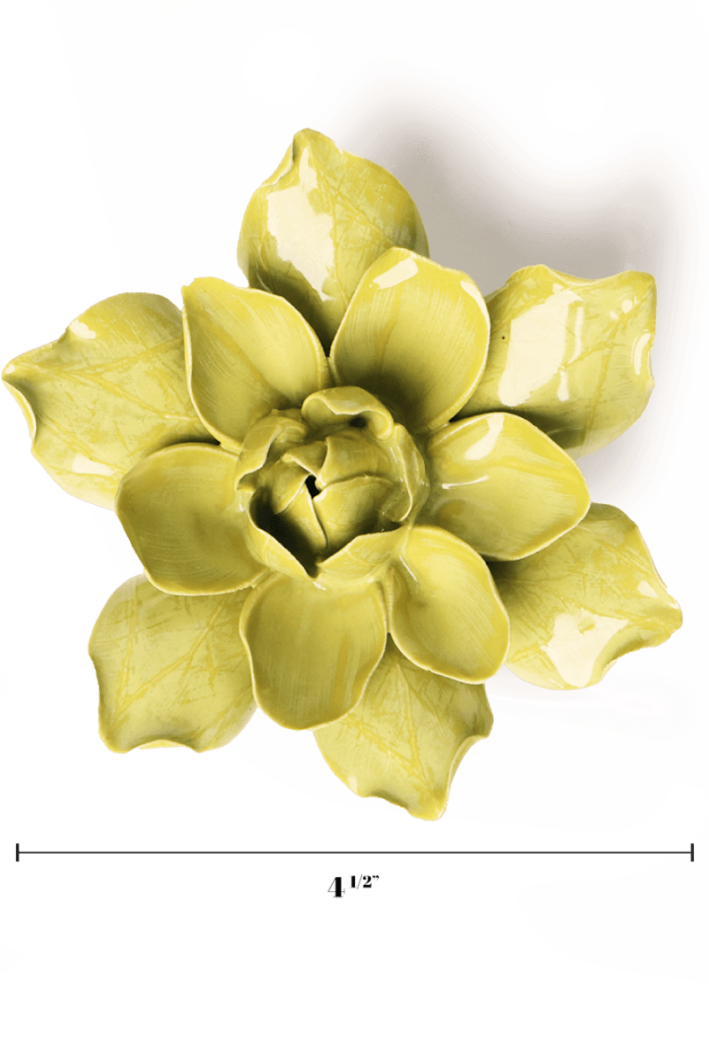EG32 Chartreuse Columbine - Chive UK Wholesale