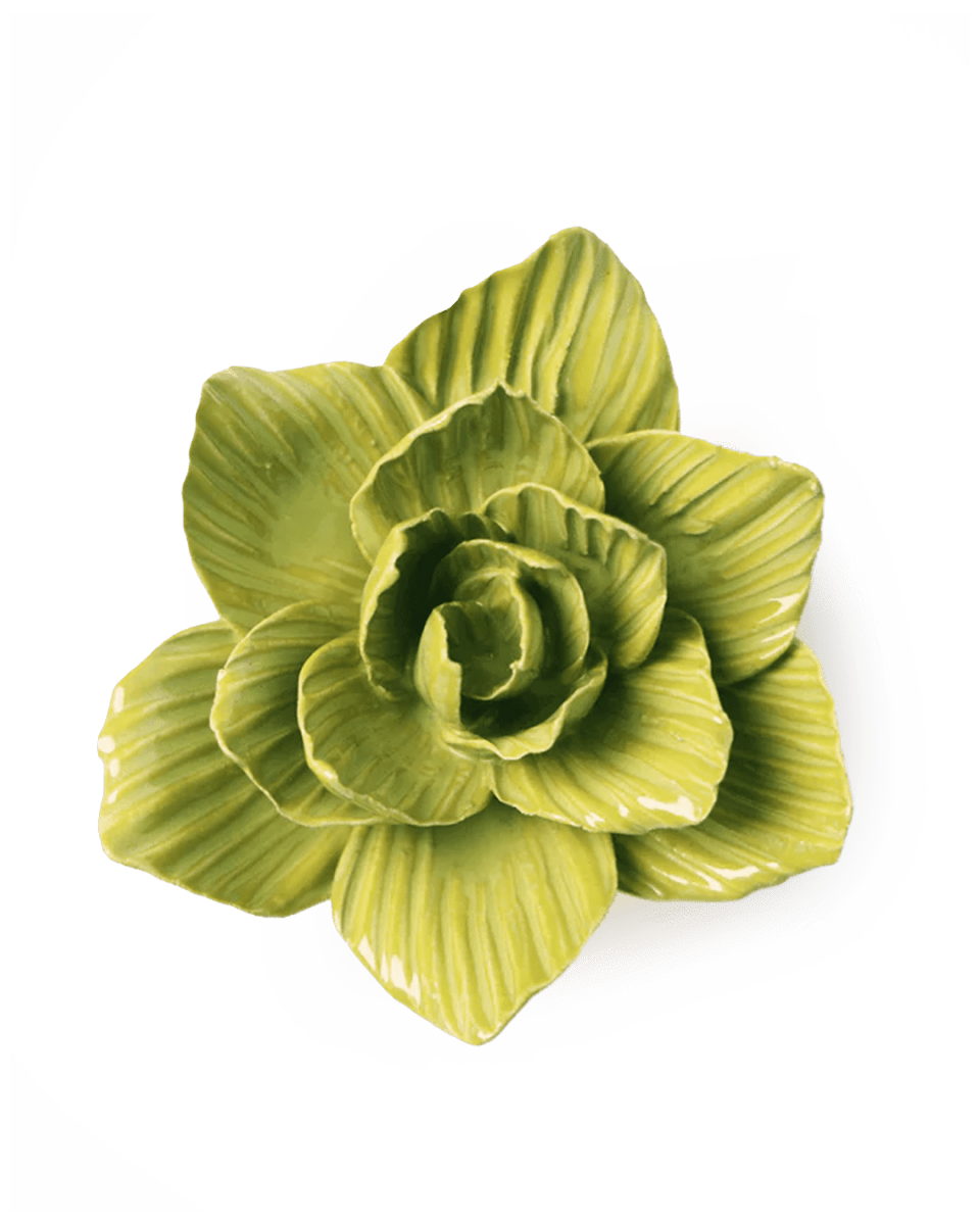 EG33 Chartreuse Gladiolus - Chive UK Wholesale