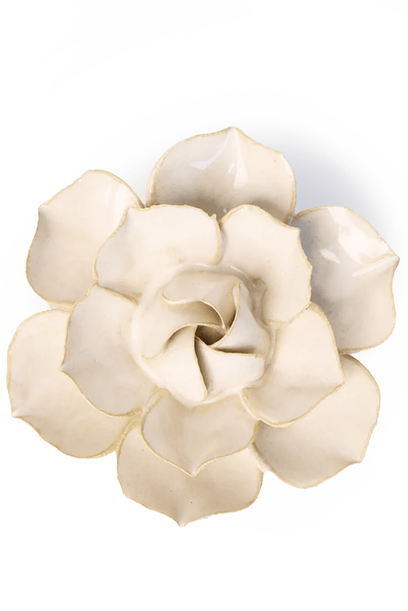 EG34 Ivory Daffodil - Chive UK Wholesale
