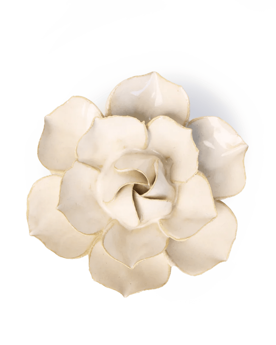 EG34 Ivory Daffodil - Chive UK Wholesale