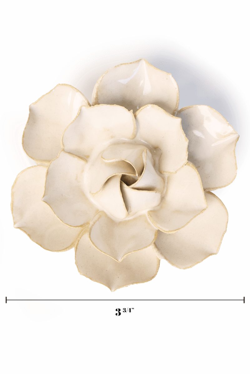 EG34 Ivory Daffodil - Chive UK Wholesale