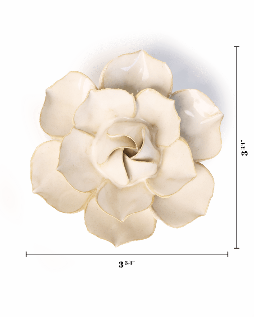 EG34 Ivory Daffodil - Chive UK Wholesale