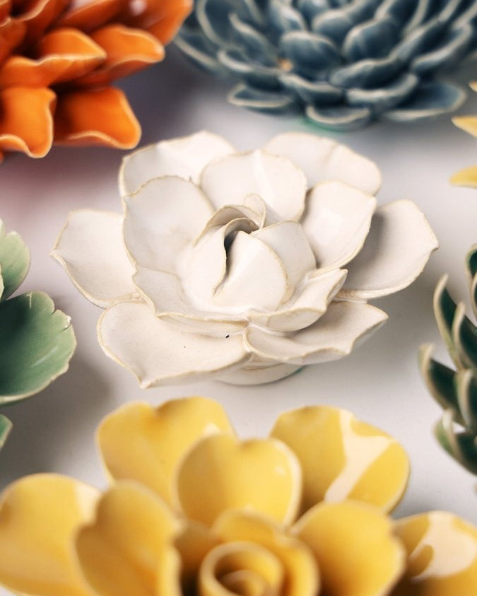 EG34 Ivory Daffodil - Chive UK Wholesale