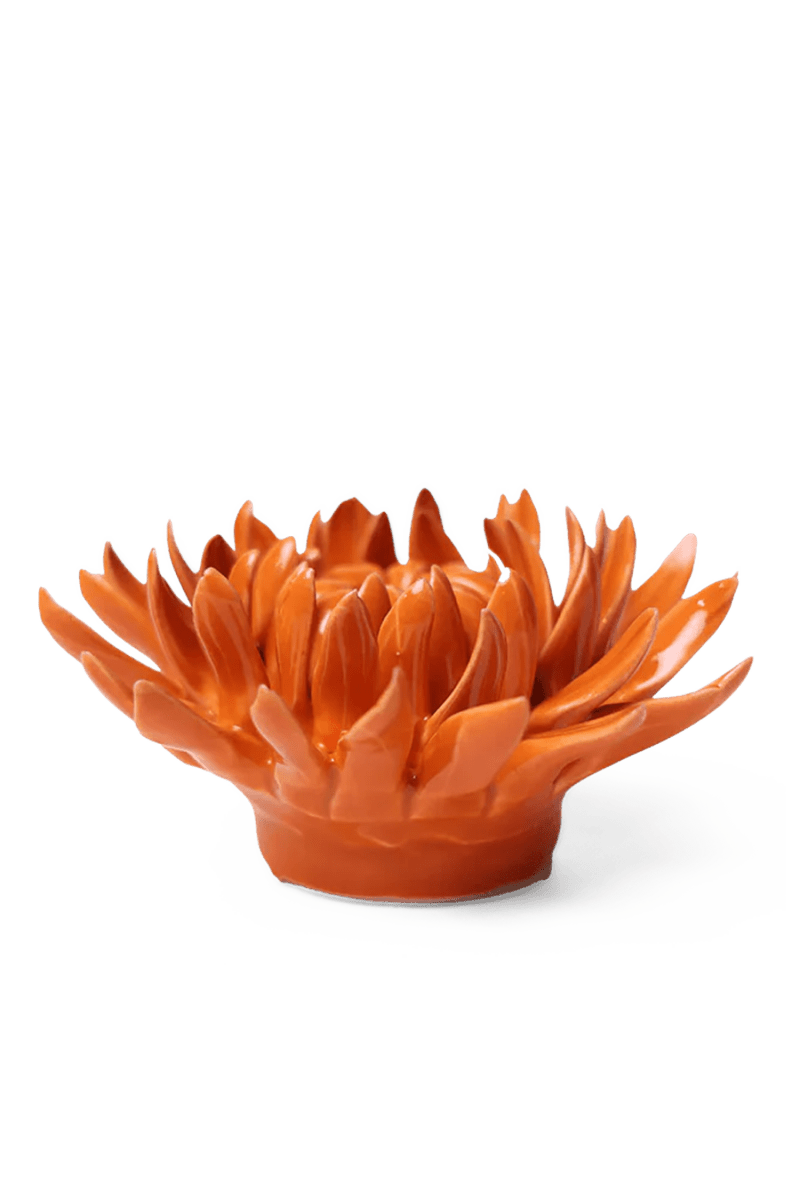 EG35 Orange Sarah Mum - Chive UK Wholesale