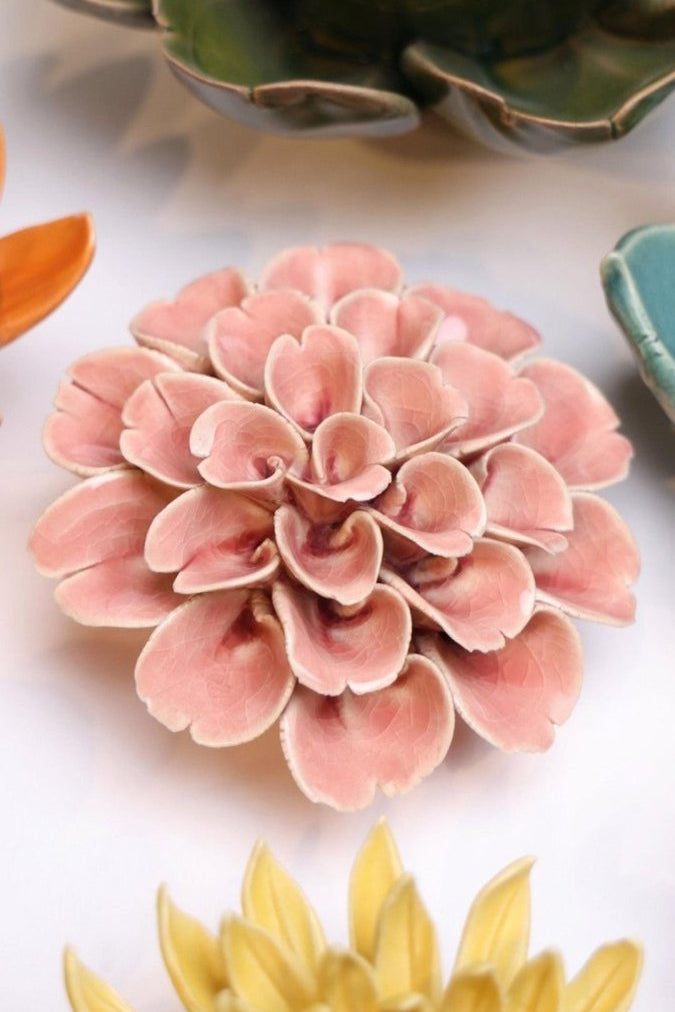 EG36 Champagne Pink Hydrangea - Chive UK Wholesale