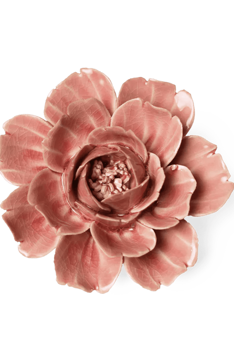 EG37 Champagne Pink Rose - Chive UK Wholesale