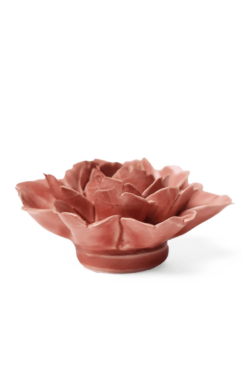 EG37 Champagne Pink Rose - Chive UK Wholesale