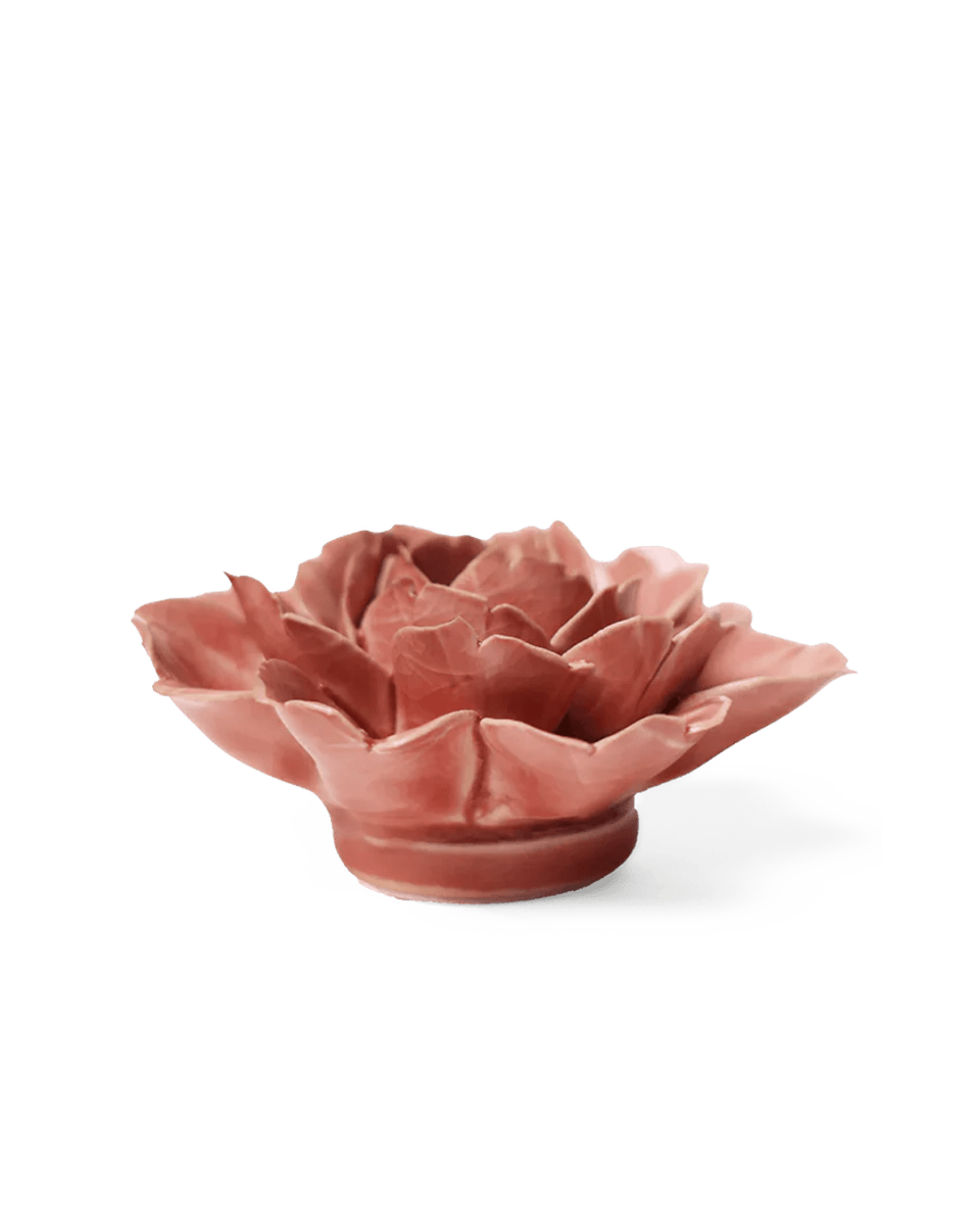 EG37 Champagne Pink Rose - Chive UK Wholesale