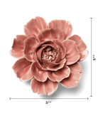 English Garden Champagne Pink Rose - Chive UK Wholesale