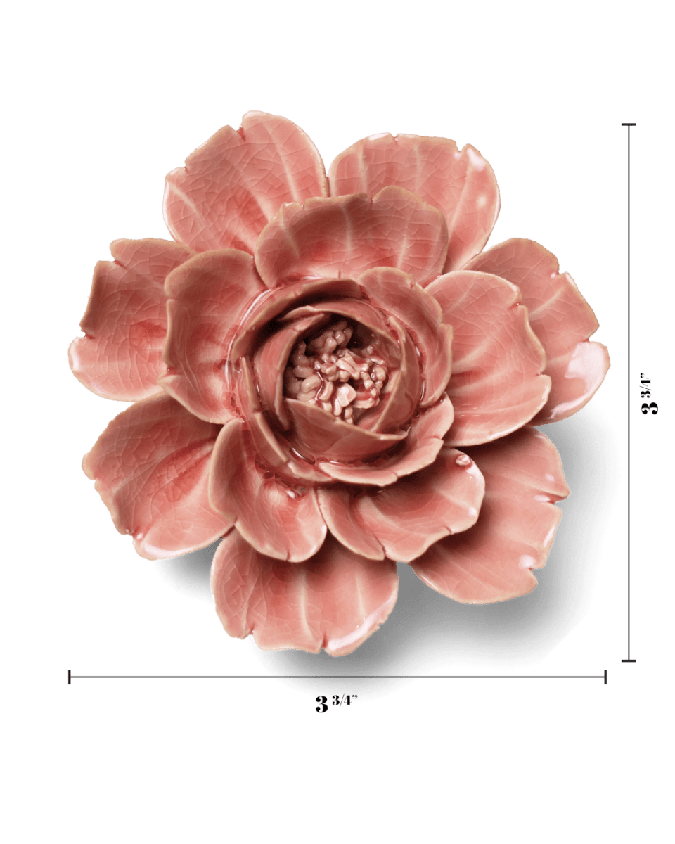 English Garden Champagne Pink Rose - Chive UK Wholesale