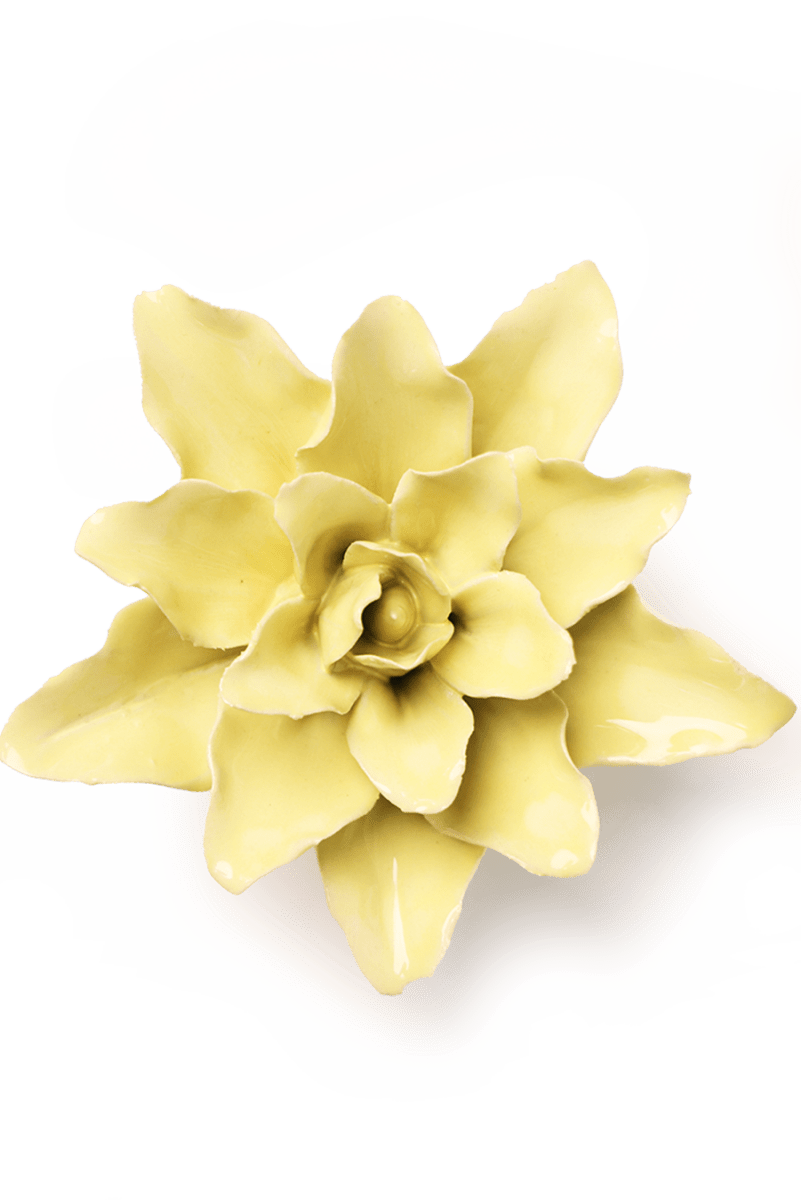 EG39 Lime Yellow Tiger Lily - Chive UK Wholesale