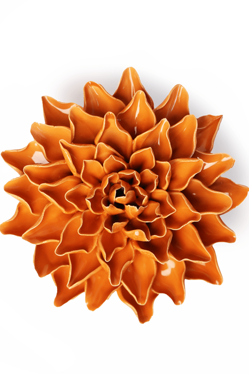 EG40 Orange Autumn Azalea - Chive UK Wholesale