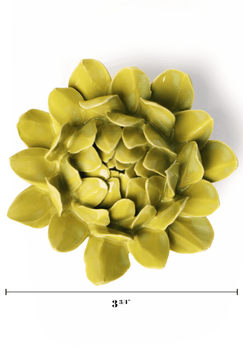 English Garden Chartreuse Sugarbush Protea - Chive UK Wholesale