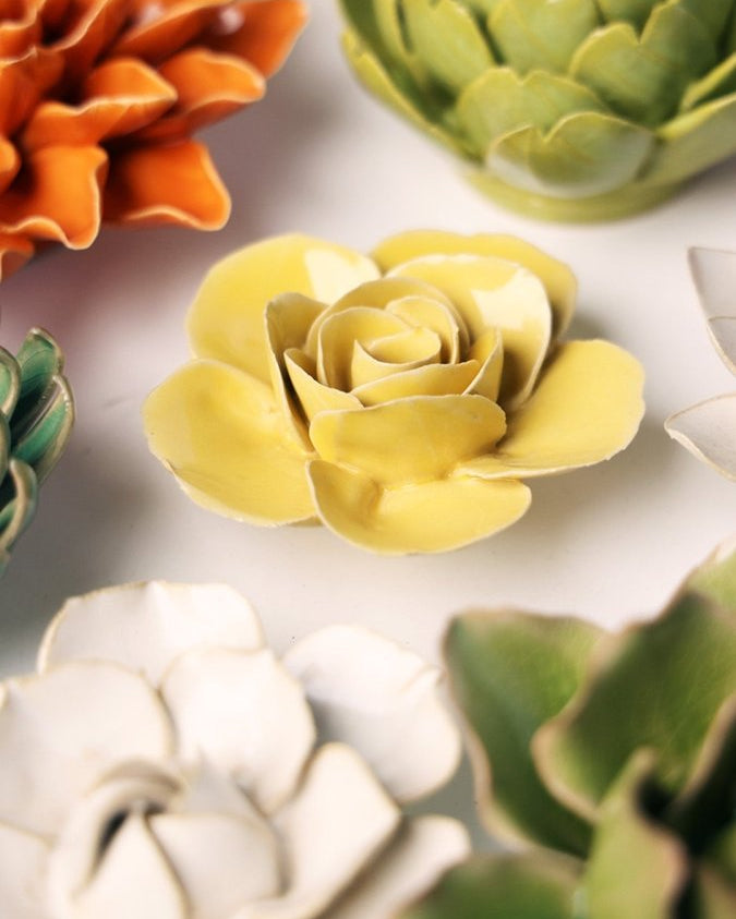 EG42 Buttercup Yellow Elegance Ranunculus - Chive UK Wholesale