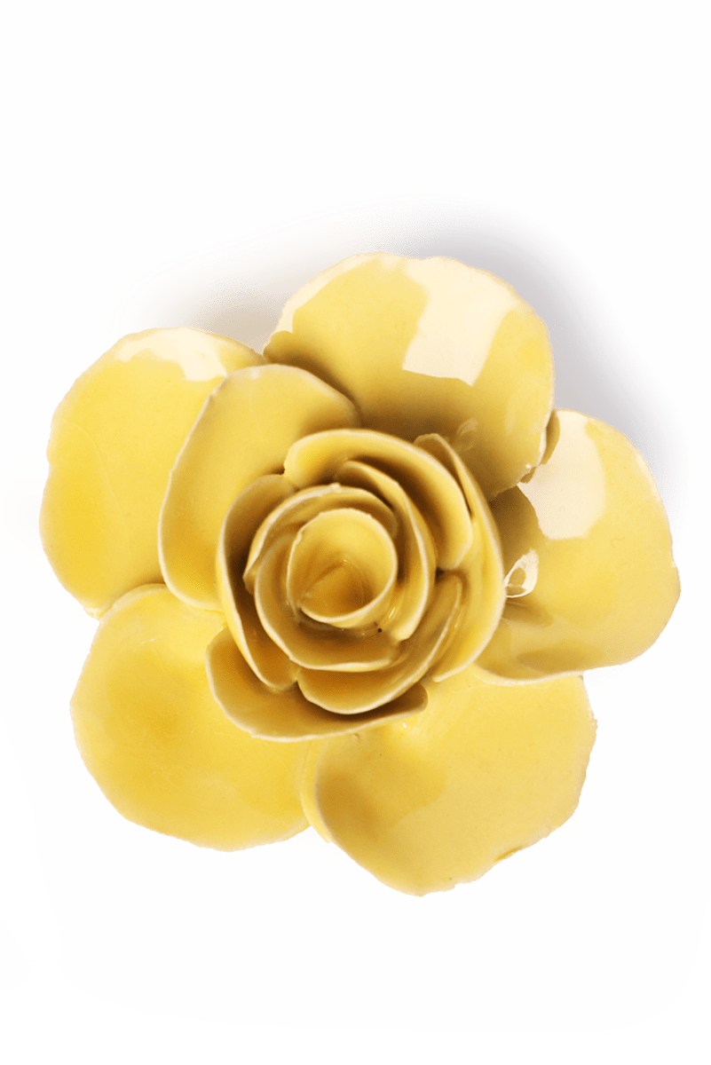 EG42 Buttercup Yellow Elegance Ranunculus - Chive UK Wholesale