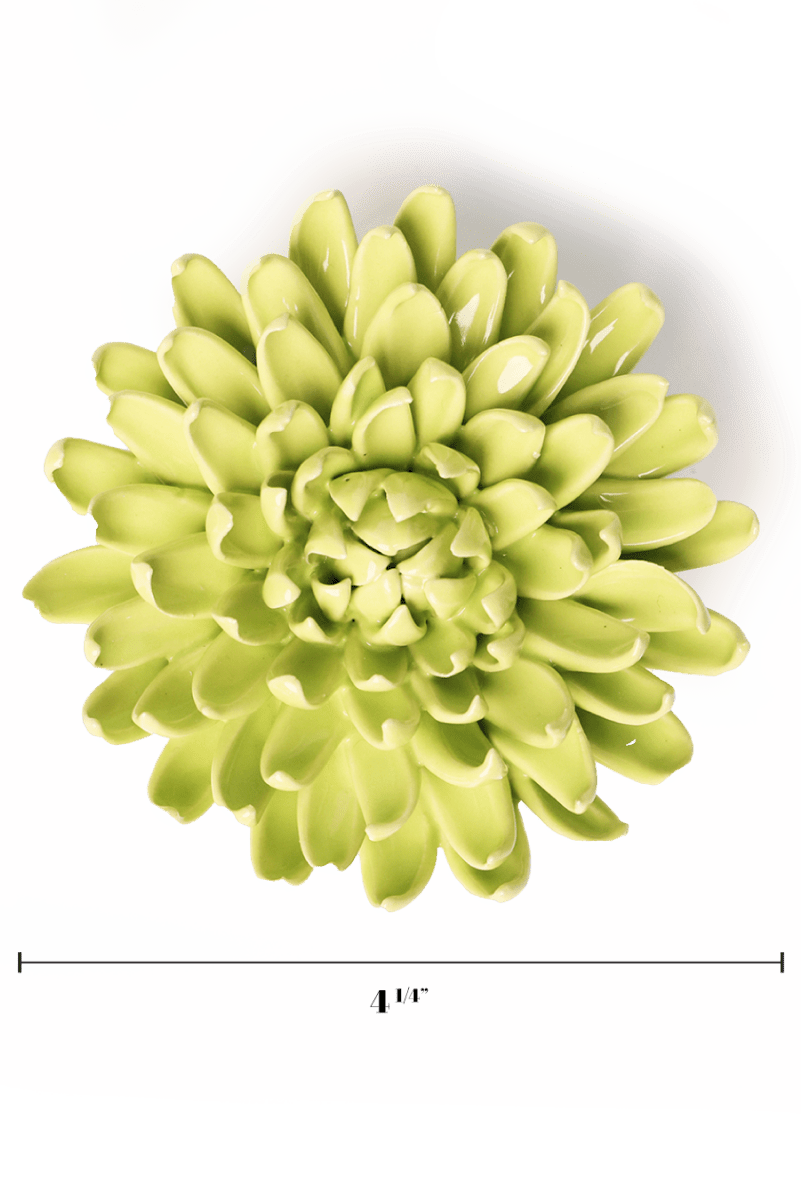 English Garden Yellow Green Pompom Mum - Chive UK Wholesale