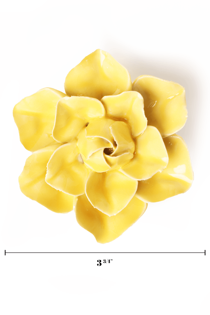 English Garden Buttercup Yellow Daffodil - Chive UK Wholesale