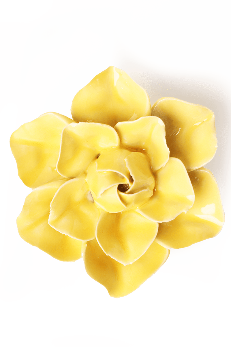 EG45 Buttercup Yellow Daffodil - Chive UK Wholesale