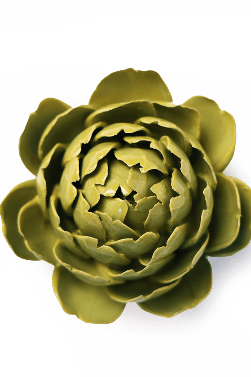 EG46 Chartreuse Queen Protea - Chive UK Wholesale