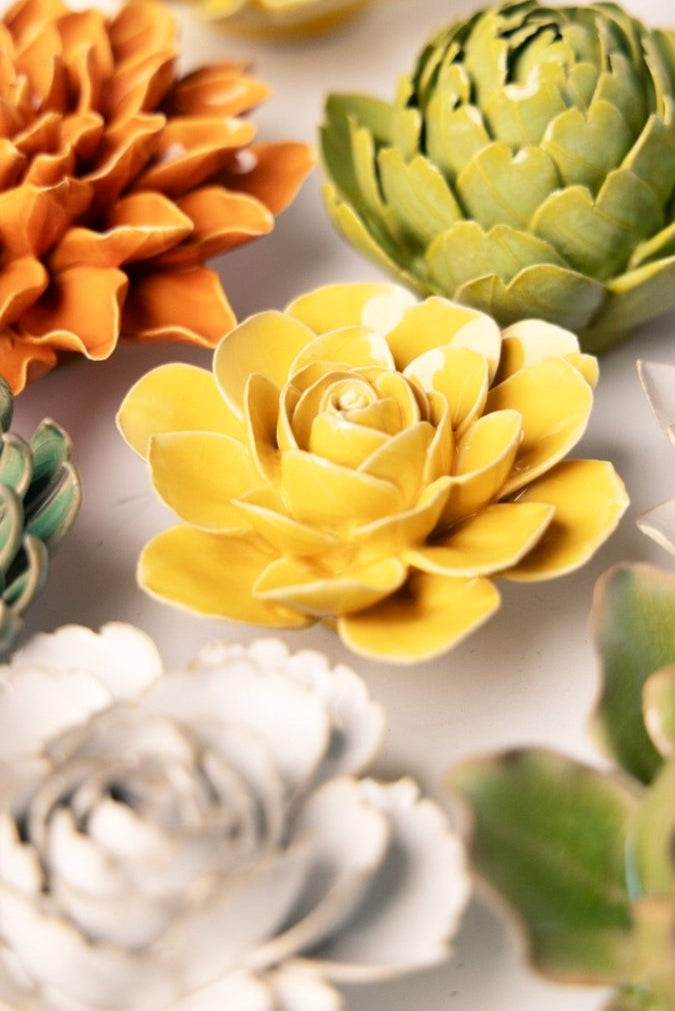 EG47 Burnt Yellow Begonia - Chive UK Wholesale