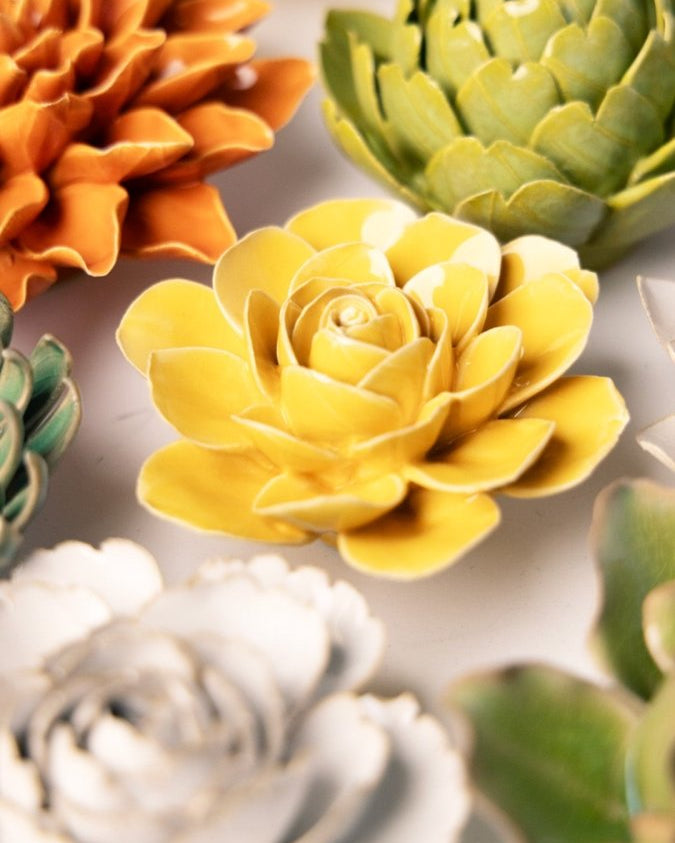 EG47 Burnt Yellow Begonia - Chive UK Wholesale