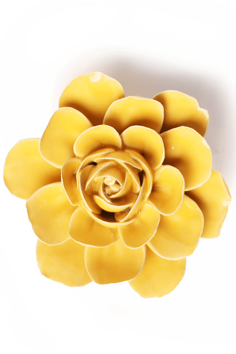 EG47 Burnt Yellow Begonia - Chive UK Wholesale