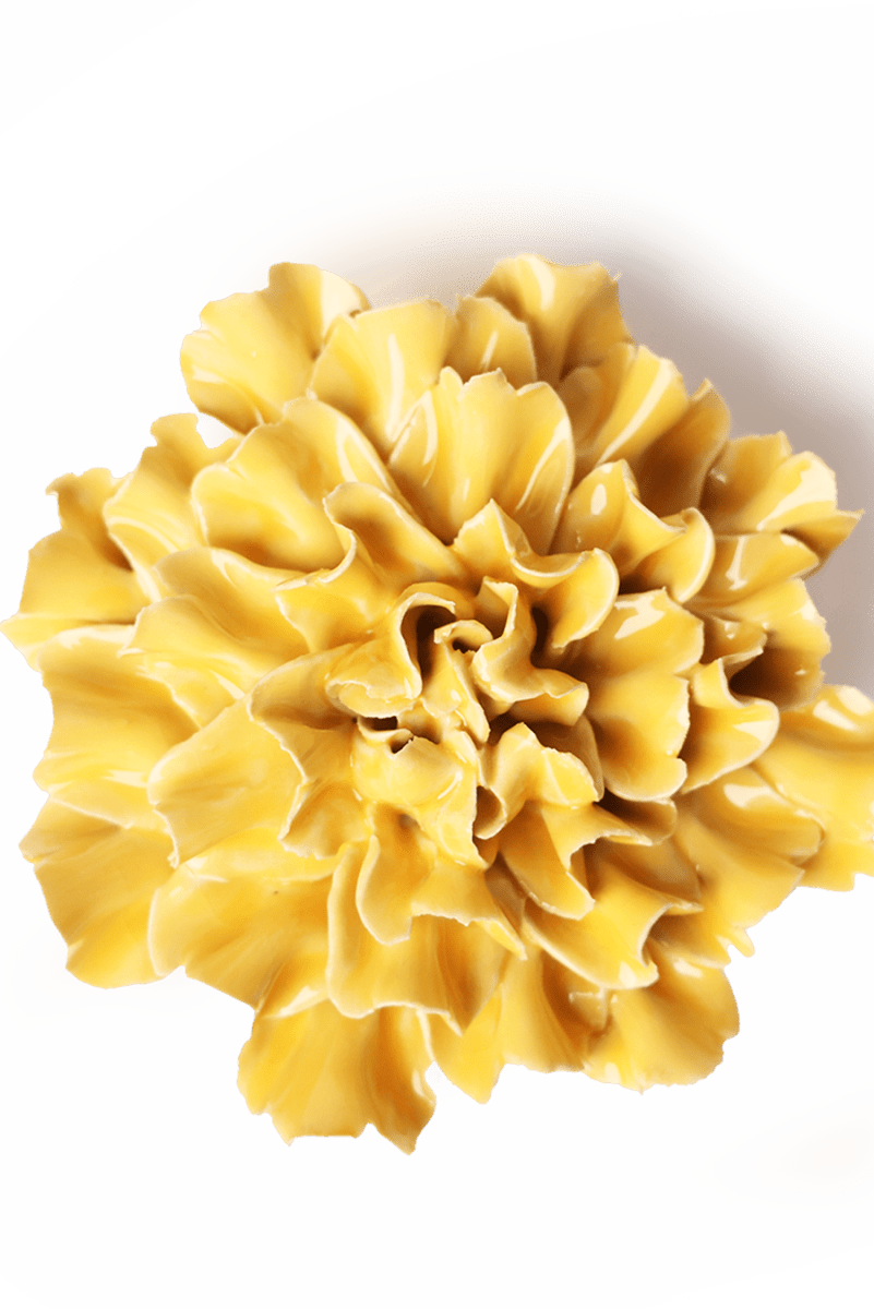 EG48 Burnt Yellow Tundra Carnation - Chive UK Wholesale