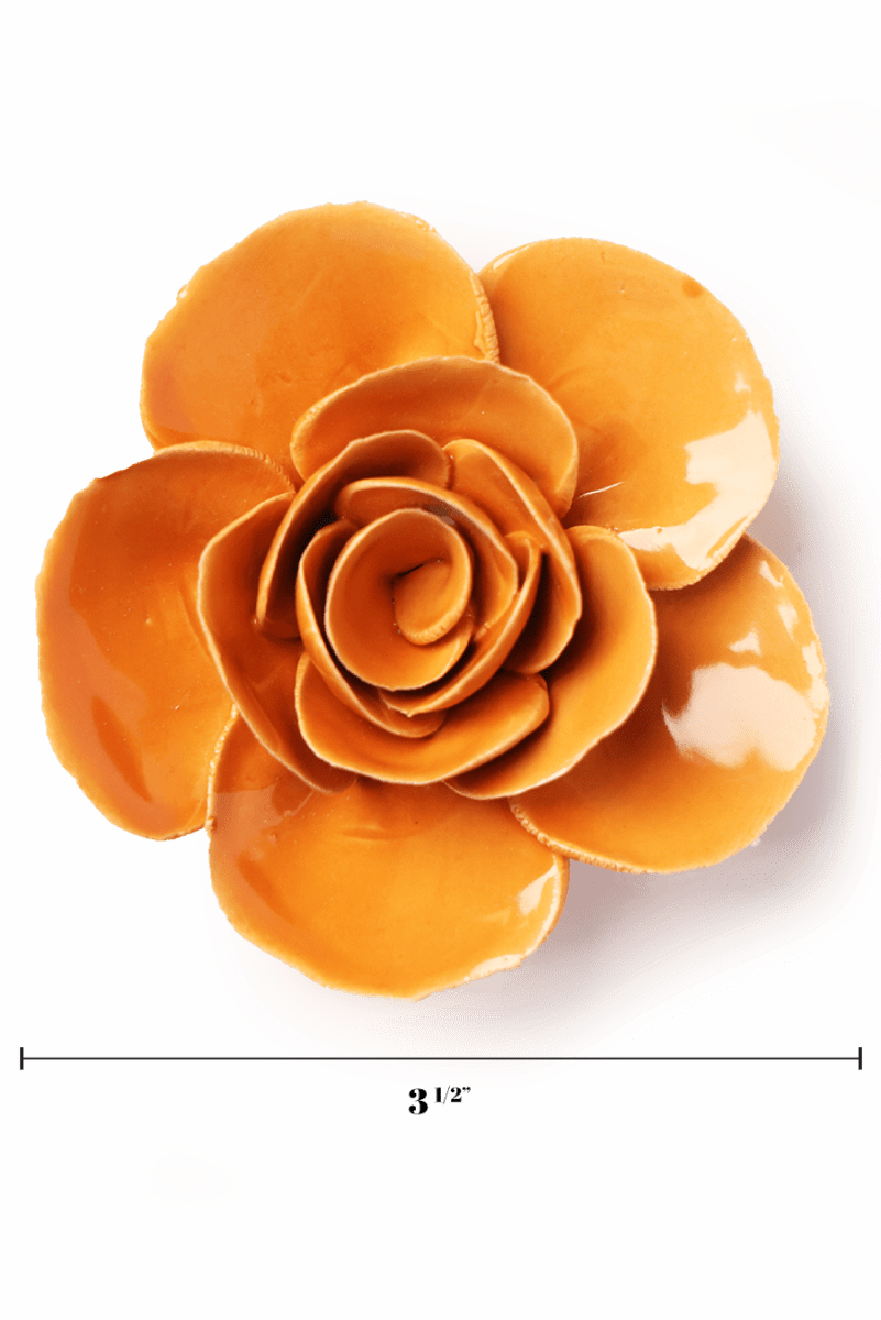 English Garden Orange Elegance Ranunculus - Chive UK Wholesale