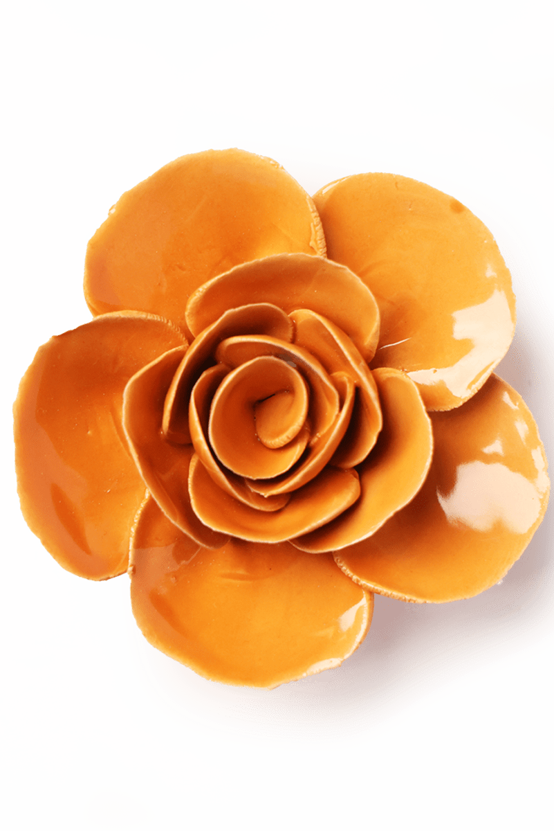 EG49 Orange Elegance Ranunculus - Chive UK Wholesale