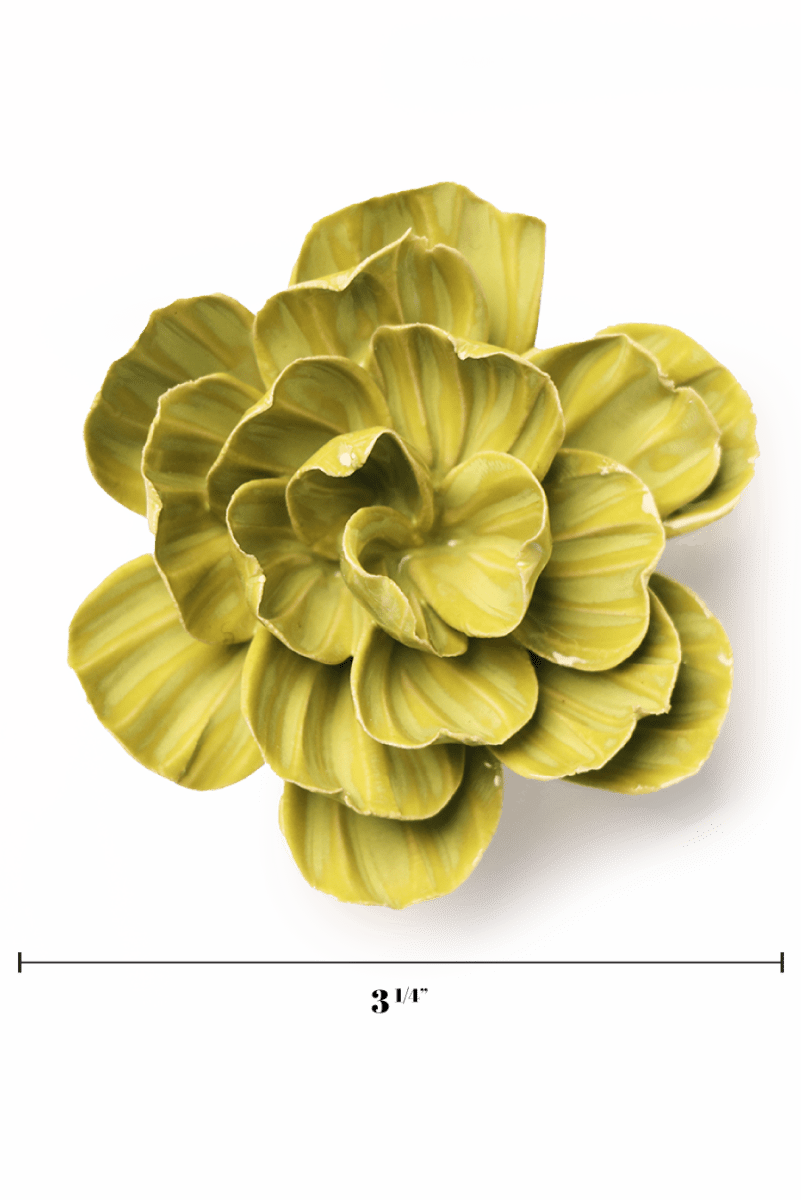 English Garden Chartreuse Primrose - Chive UK Wholesale