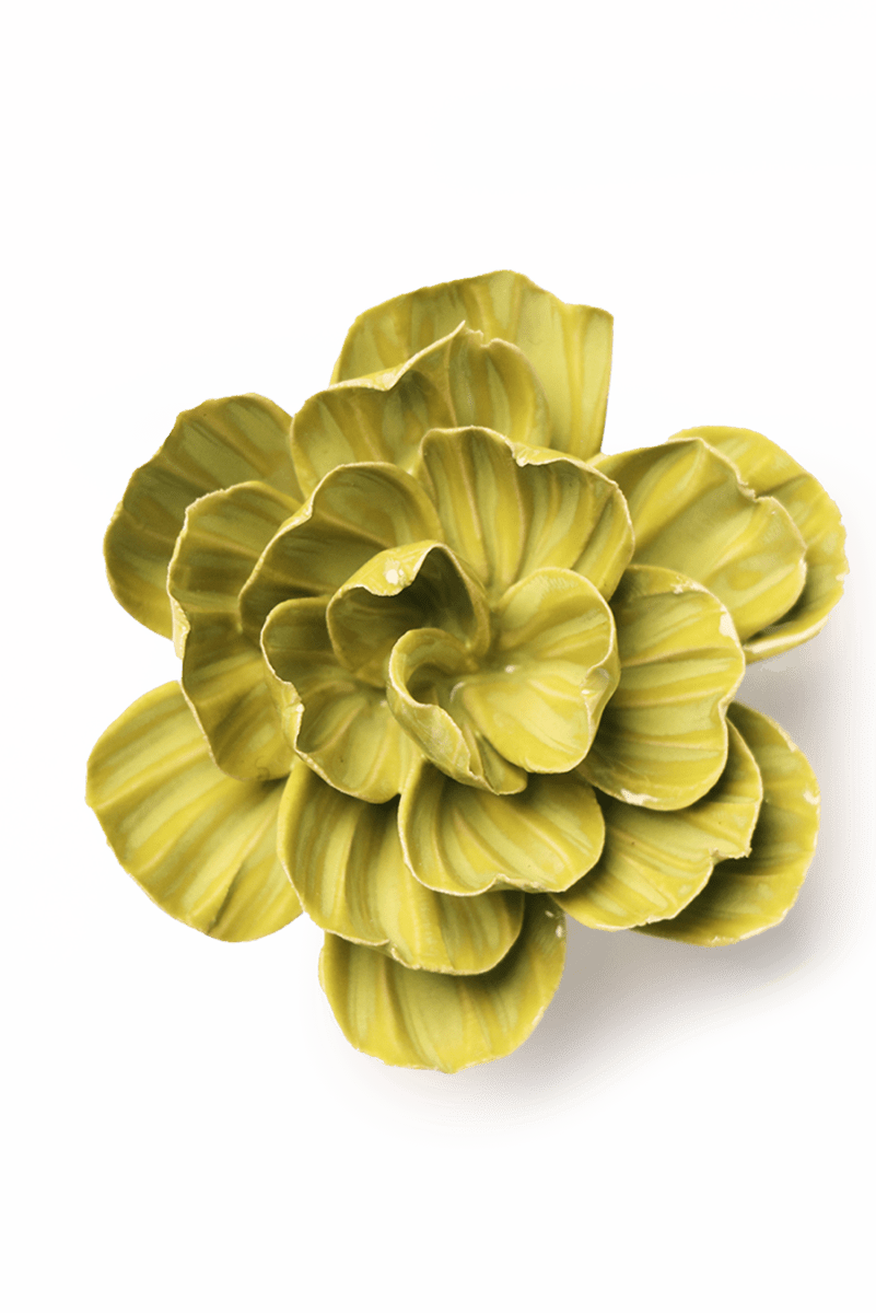 EG50 Chartreuse Primrose - Chive UK Wholesale