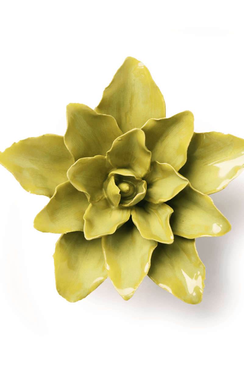 EG51 Chartreuse Tiger Lily - Chive UK Wholesale