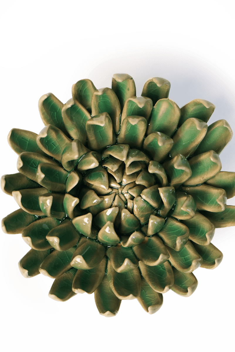EG52 Jungle Green Pompom Mum - Chive UK Wholesale