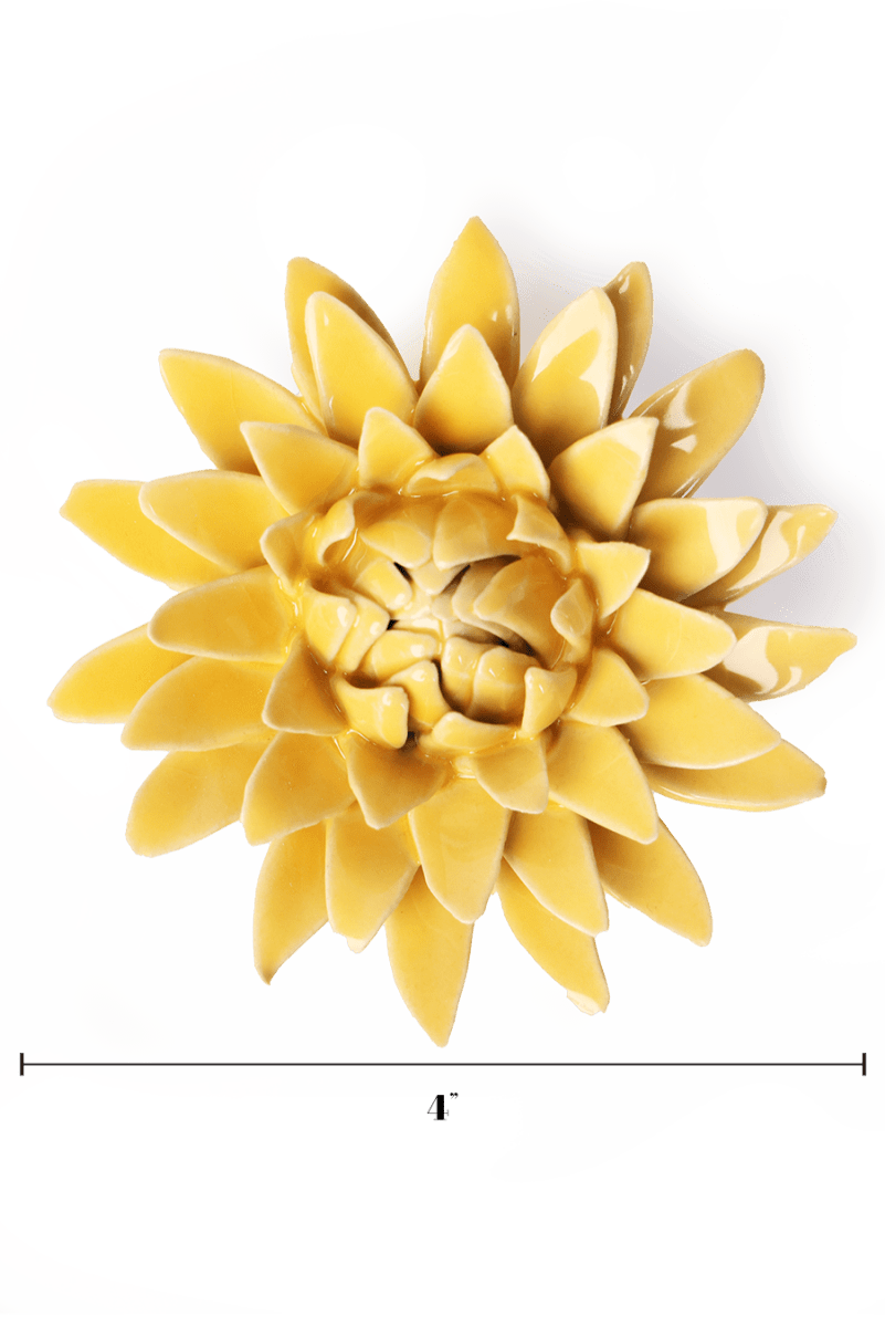 English Garden Burnt Yellow Strawflower - Chive UK Wholesale