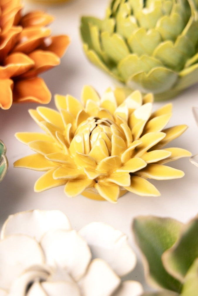 EG53 Burnt Yellow Strawflower - Chive UK Wholesale