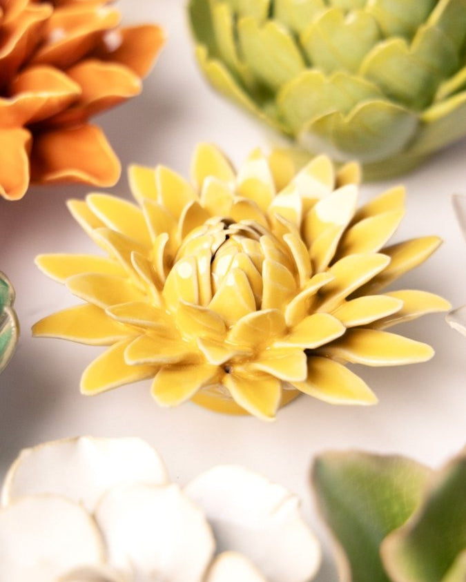 EG53 Burnt Yellow Strawflower - Chive UK Wholesale