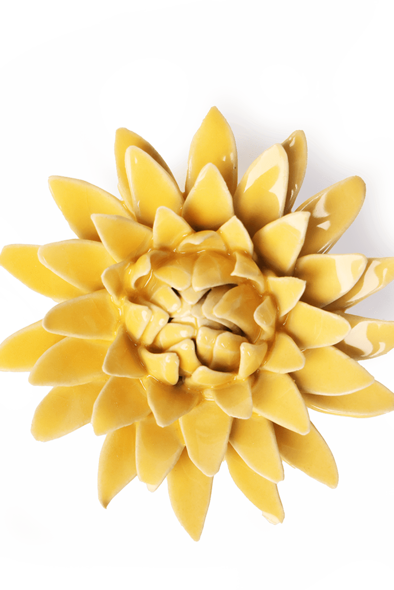 EG53 Burnt Yellow Strawflower - Chive UK Wholesale
