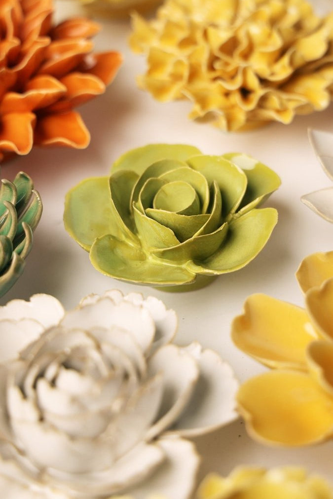 EG54 Chartreuse Elegance Ranunculus - Chive UK Wholesale