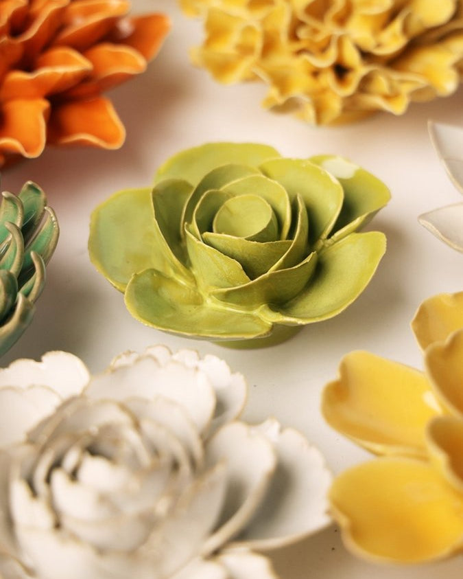 EG54 Chartreuse Elegance Ranunculus - Chive UK Wholesale