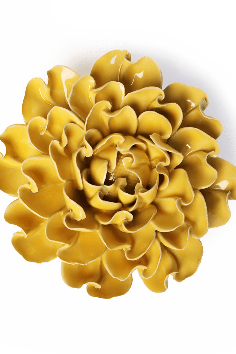 EG55 Buttercup Yellow Hawthorn - Chive UK Wholesale